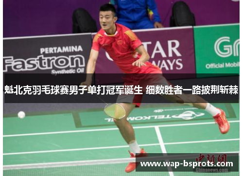 魁北克羽毛球赛男子单打冠军诞生 细数胜者一路披荆斩棘